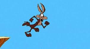 Image result for wile e coyote almost got him