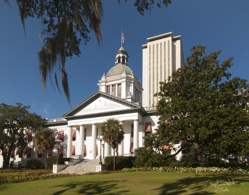 The historic Florida capitol. Credit: Stephen Nakatani, Flickr